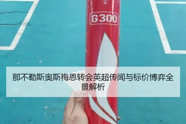 那不勒斯奥斯梅恩转会英超传闻与标价博弈全景解析